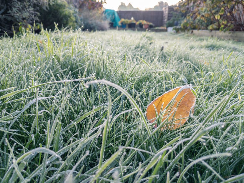 Temperatures fell as low as 29 degrees in some parts of the Bay Area.