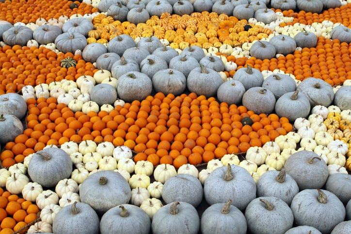 Pumpkin Mosaic 