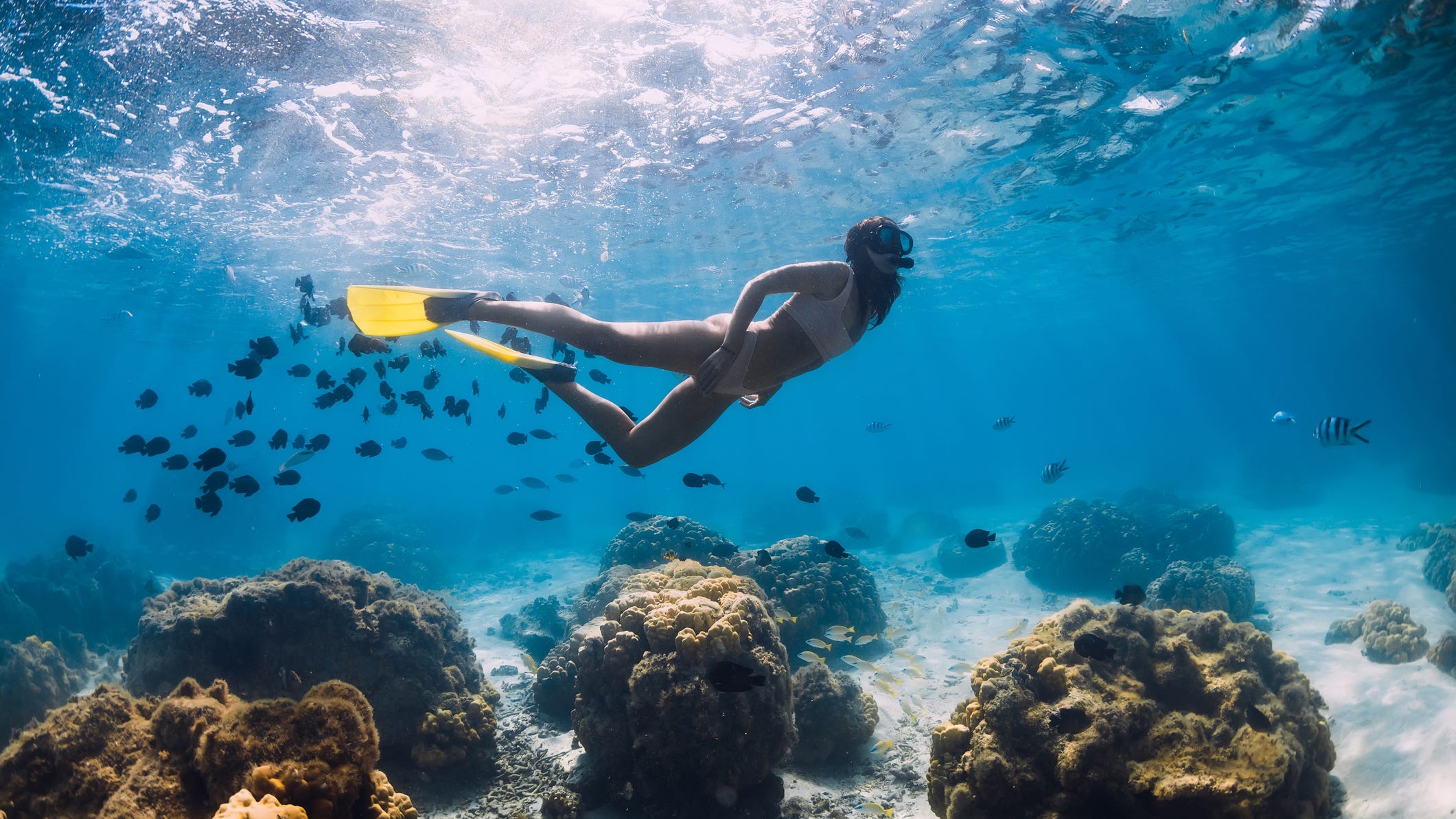 PHOTO: Snorkeler finds lost gold wedding ring lodged around fish’s body