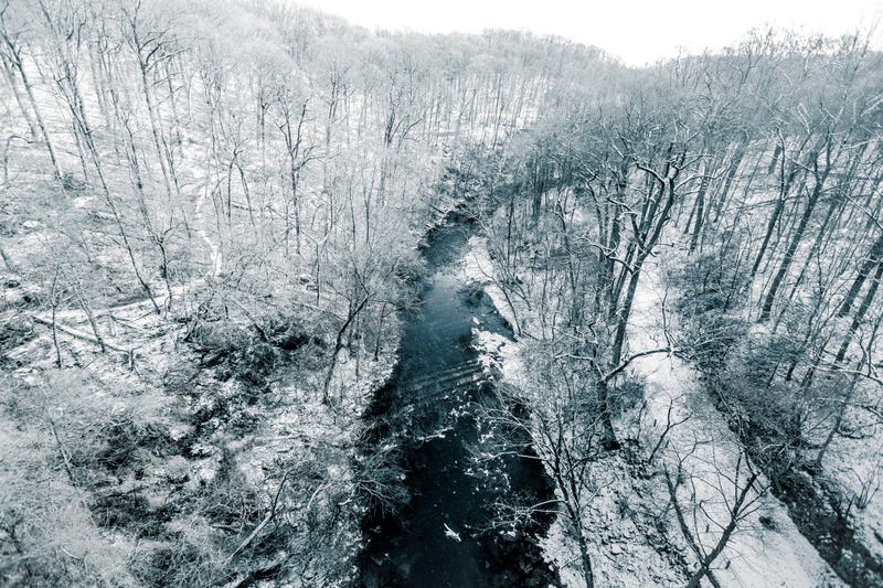 A winter day in Philadelphia's Wissahickon Creek.