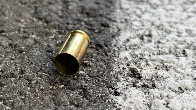 Burglar accidentally shoots himself in head while trying to escape