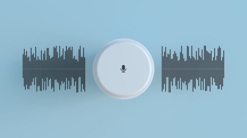 smart speaker