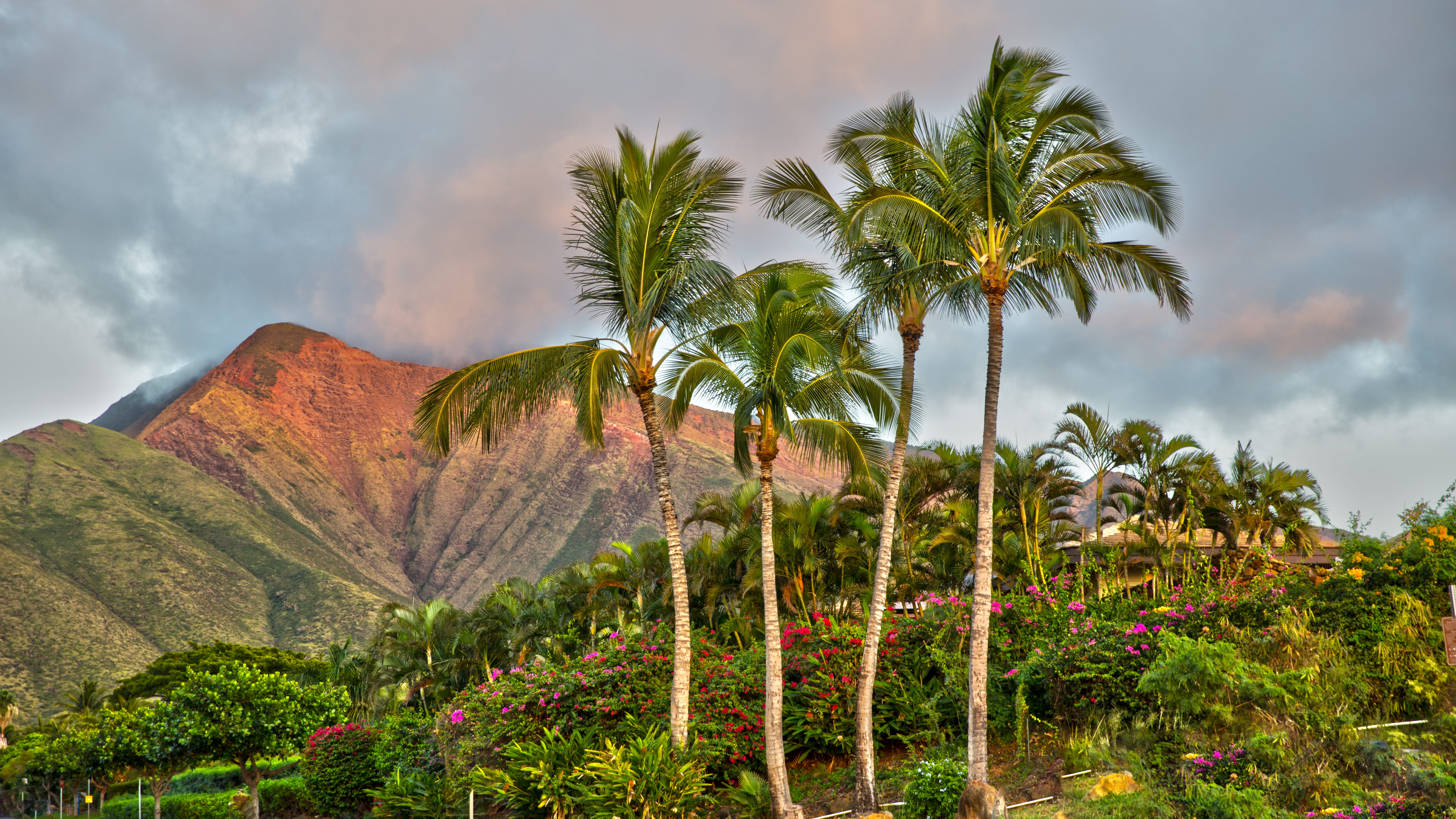Here’s why tourists traveling to Hawaii may soon face more fees and limits