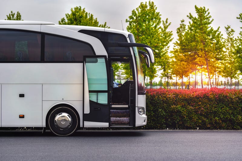 Commercial Bus