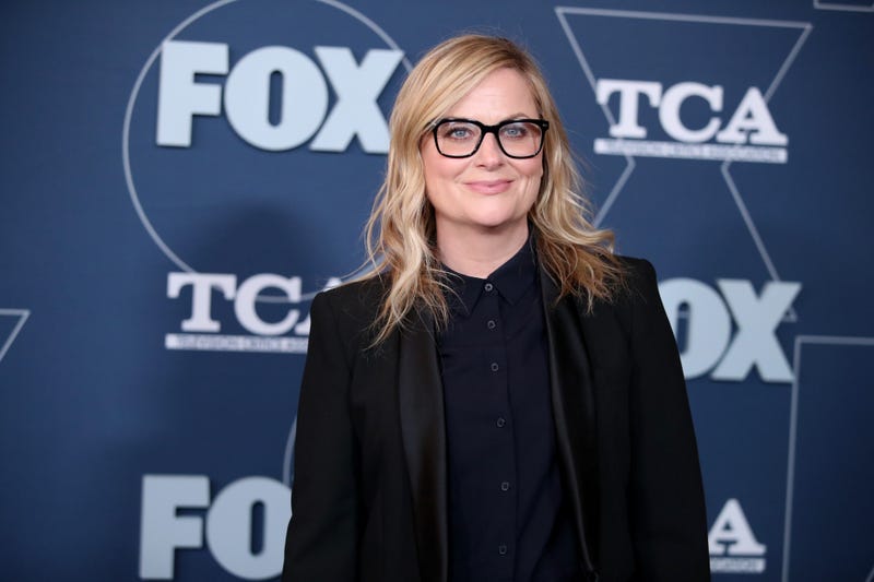 Amy Poehler