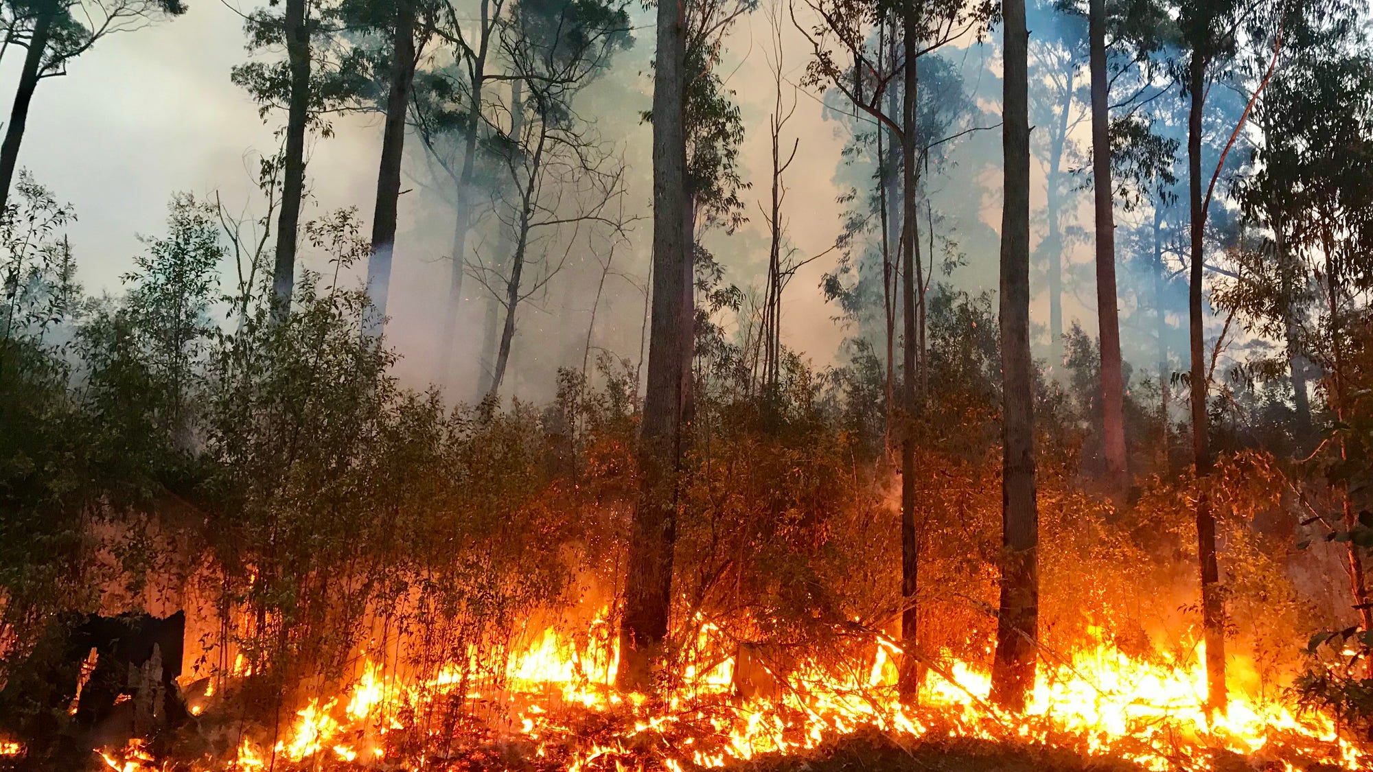 Officials are looking for whoever caused the largest wildfire in Idaho this year