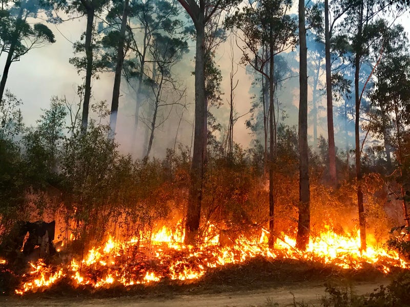 wildfire