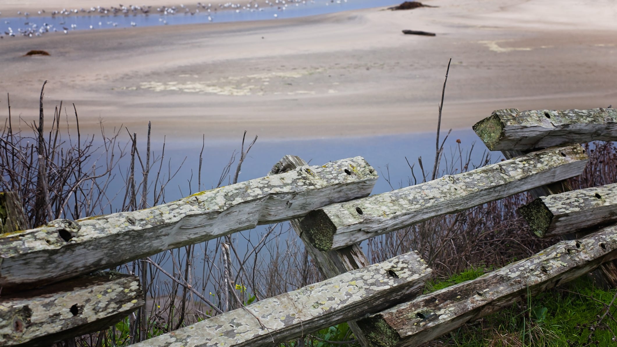 Body of unidentified man discovered at San Gregorio State Beach