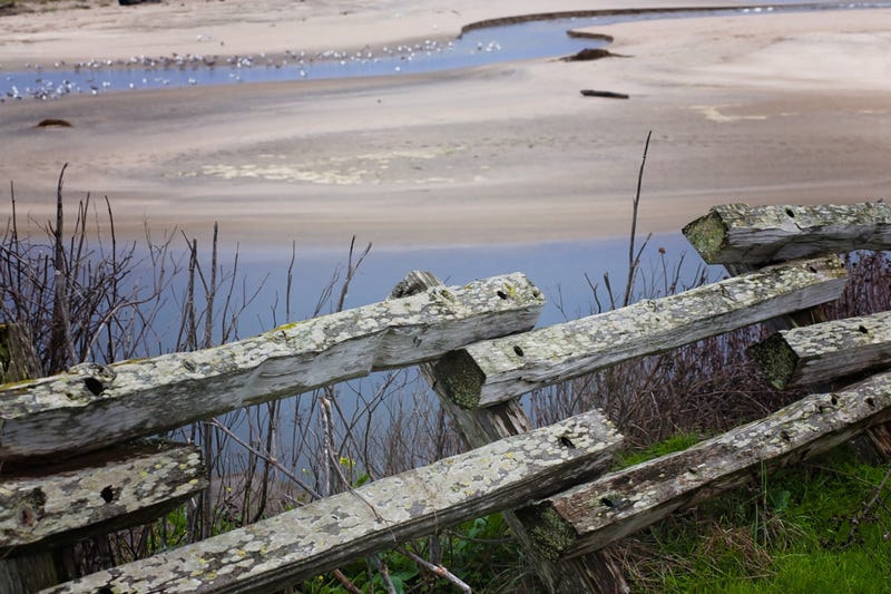 Body of a man found on San Gregorio State Beach.