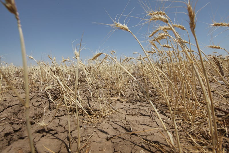 Drought conditions