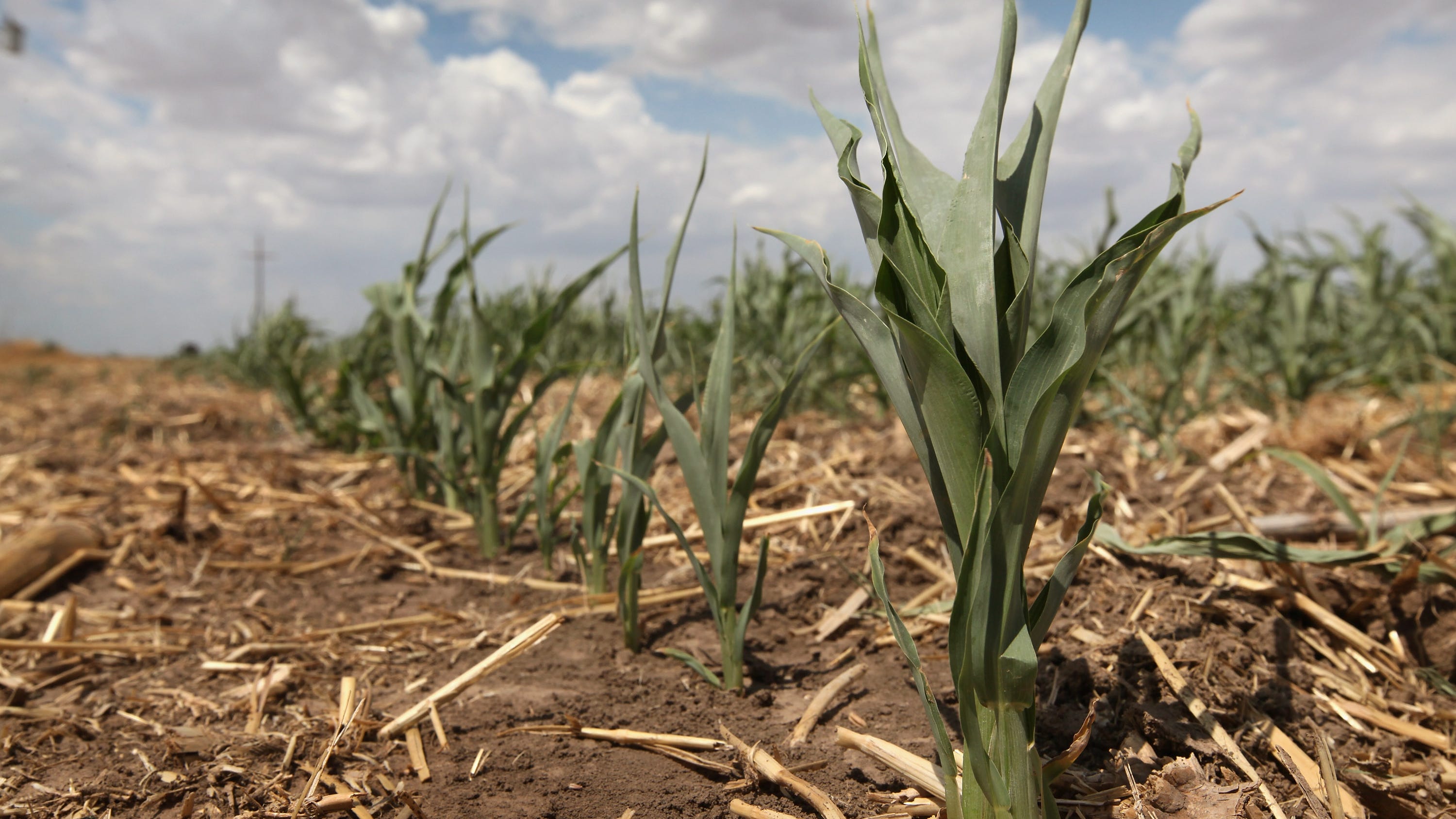 Almost half of Texas experiencing high levels of drought