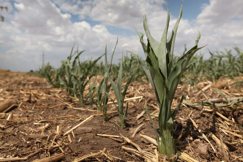 drought conditions