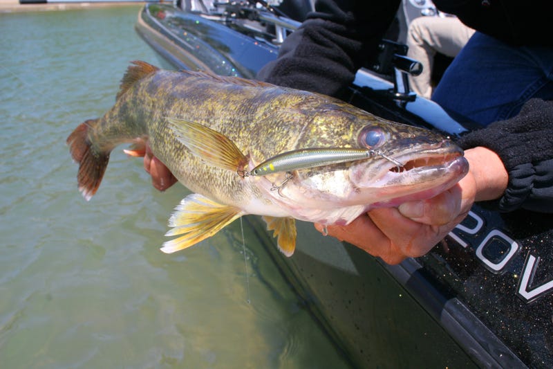  It was a fishing tale was too good to be true for two anglers in Ohio who eventually fessed up on Monday to rigging a 2021 walleye fishing tournament to ensure they pocketed a $28,000 cash prize.