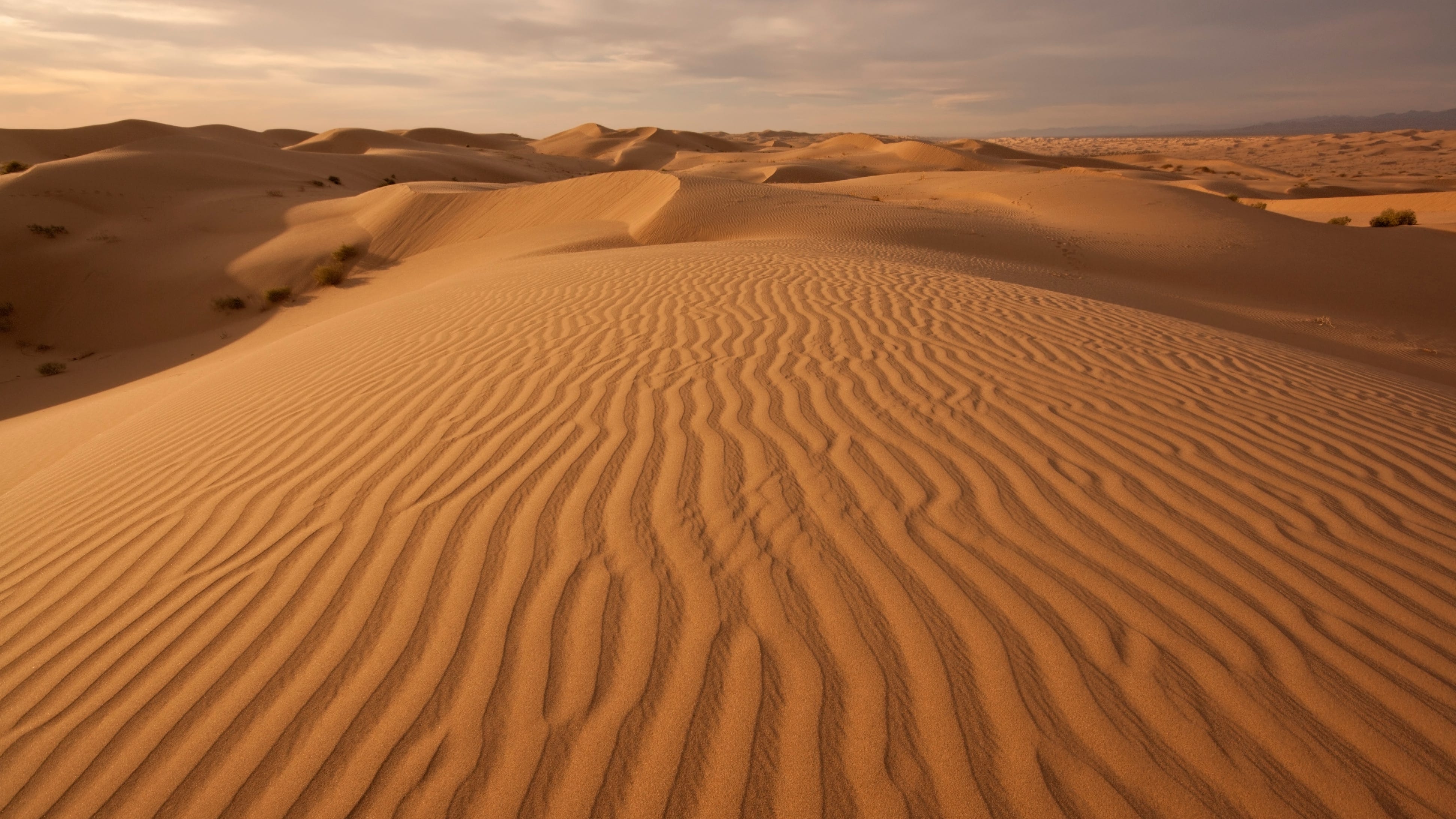 Chapman University student filmmaker killed in accident at Imperial Sand Dunes