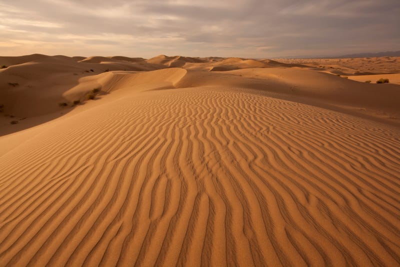 Imperial sand dunes