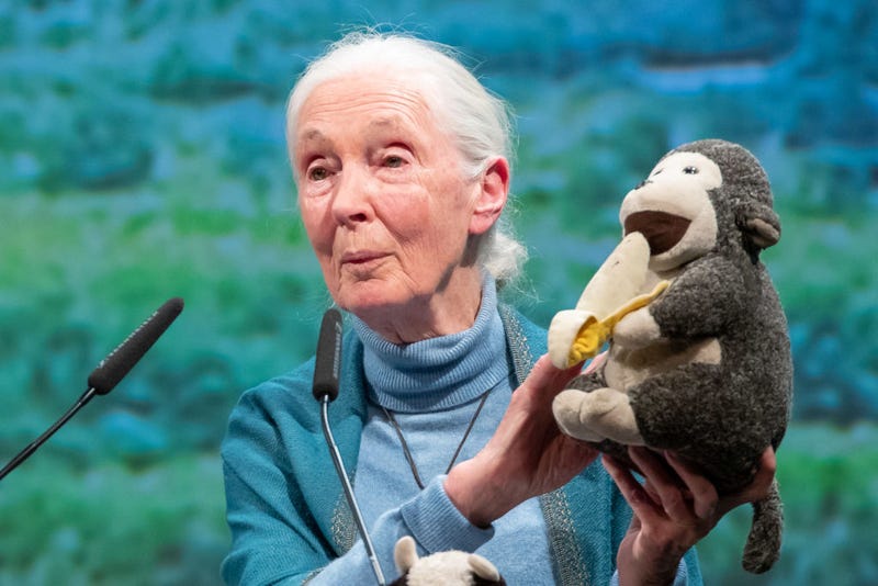 Dr. Jane Goodall