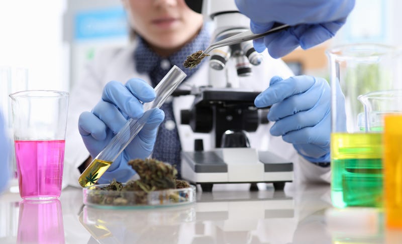 Cannabis lab