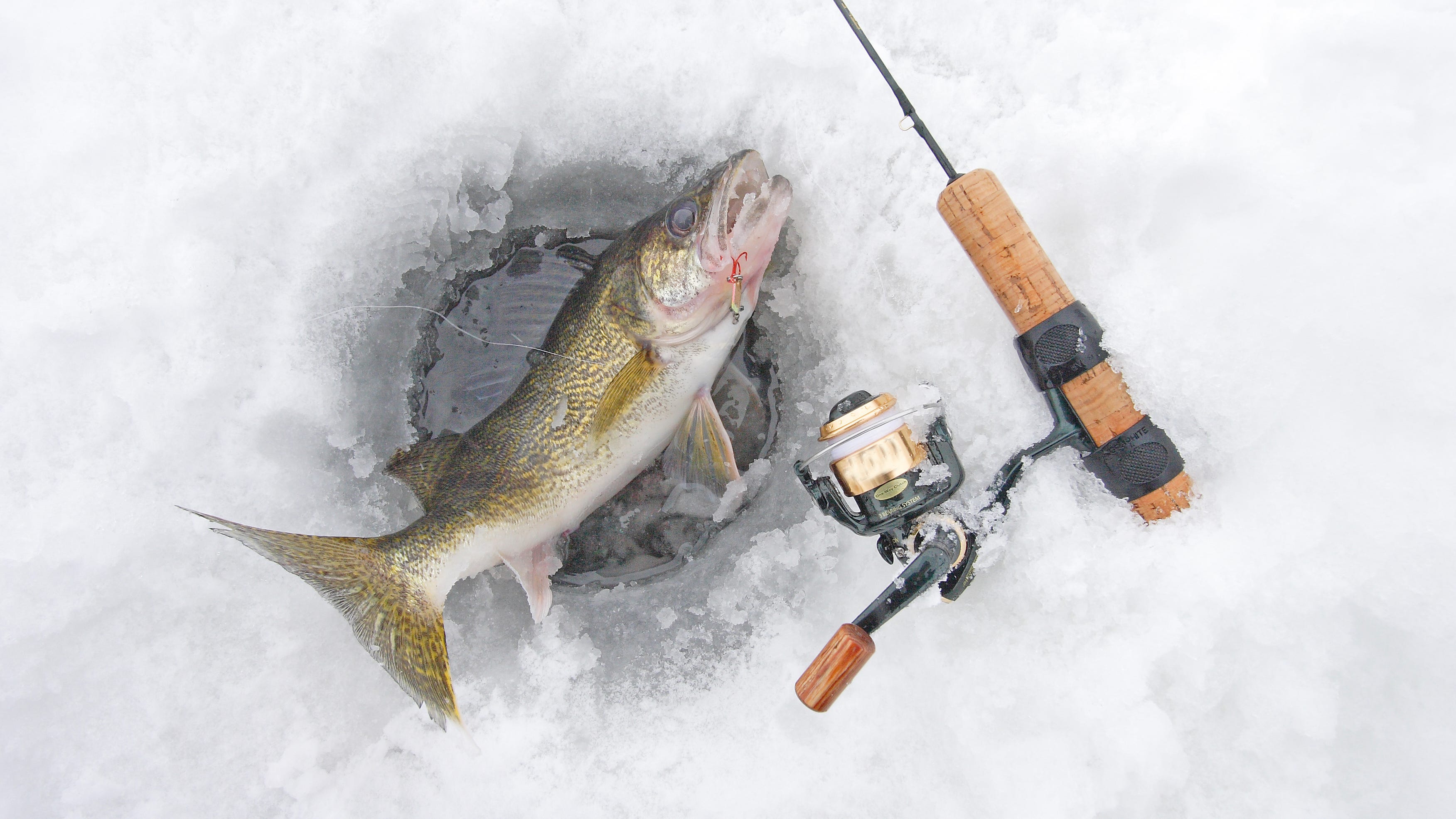 Illinois couple killed in apparent ice fishing accident: Sheriff