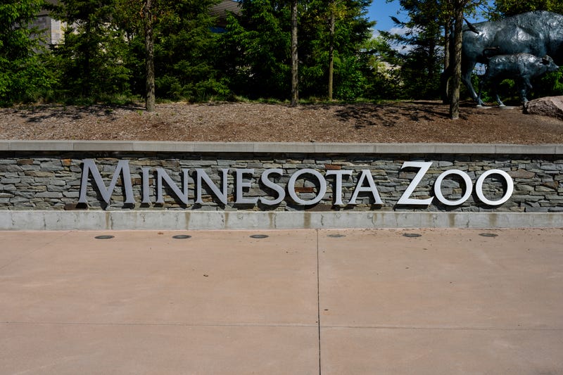Peter Greenberg is the host of the CBS Radio show "Eye On Travel", and he brought a taping of the show to Apple Valley's Minnesota Zoo this week.