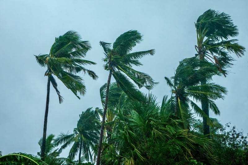 Cheryl Ramalho/Getty Images