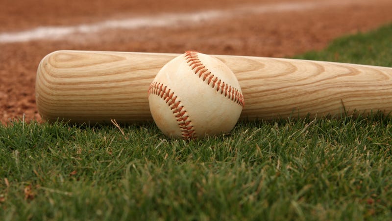 Baseball & bat on the grass - stock photo