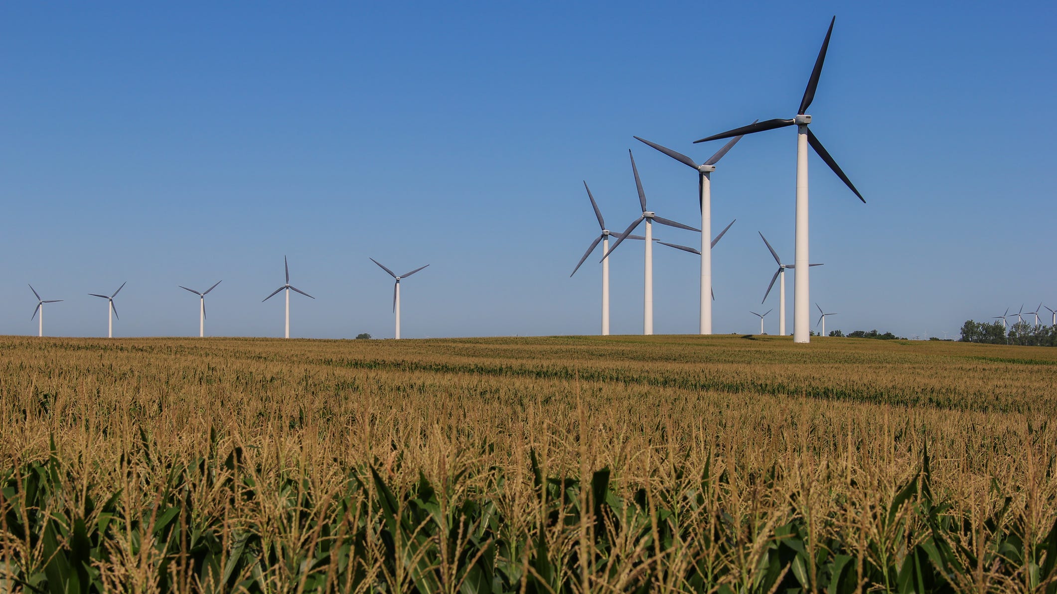 University of Minnesota launches partnership to train and educate electric industry workers
