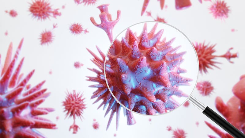 Magnifying glass on a coronavirus cell.
