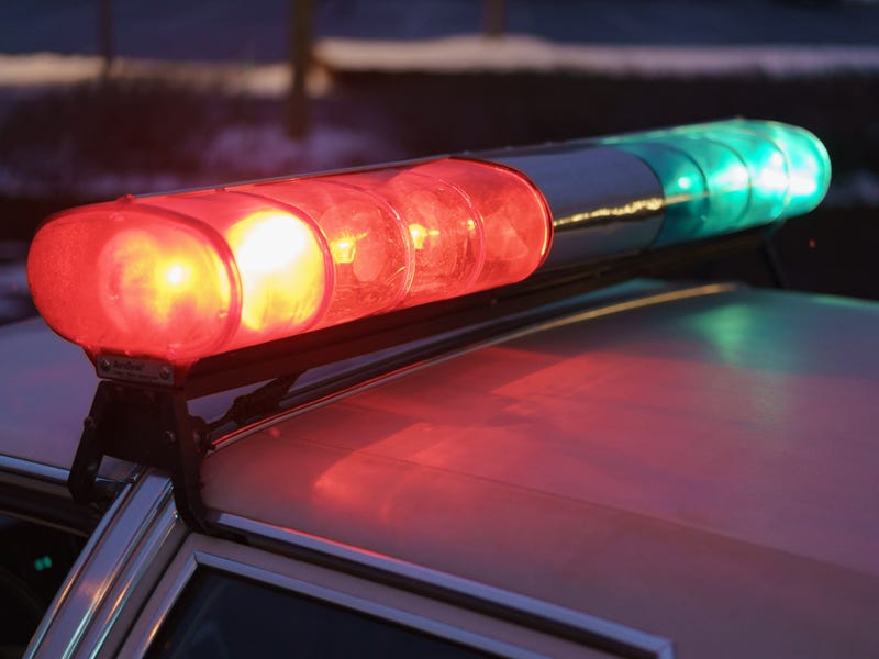 Police lights in the cold