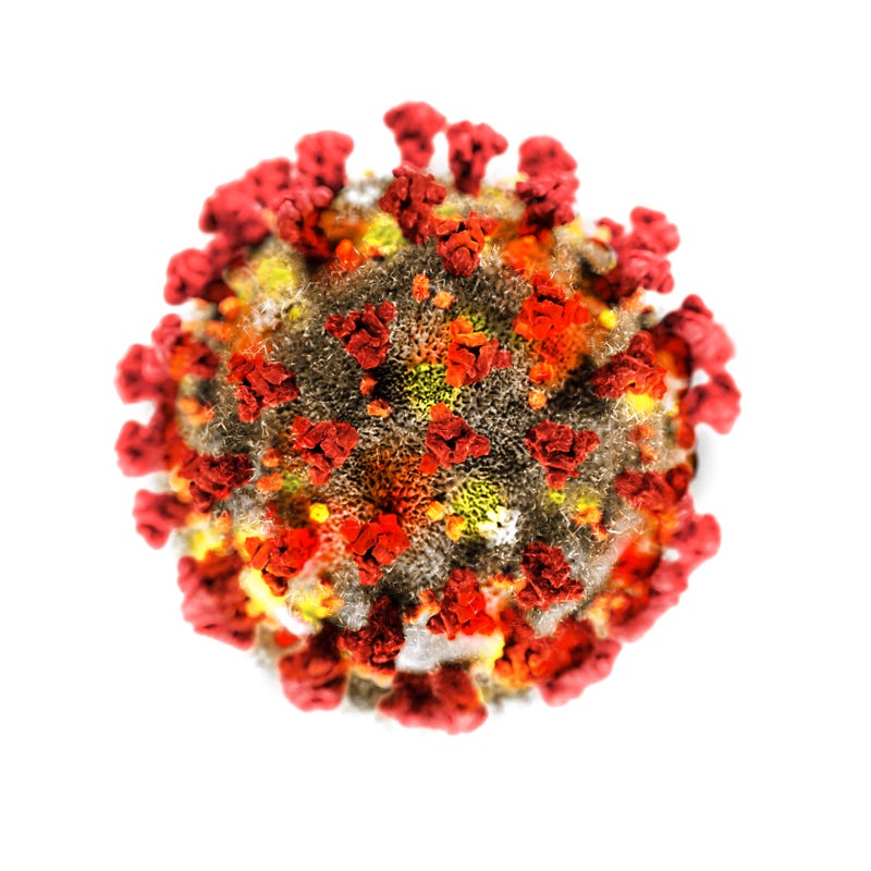 A coronavirus cell on a white background