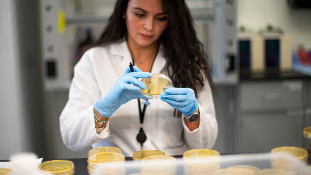 'We have technology to eliminate this virus from the population' Stanford health expert urges