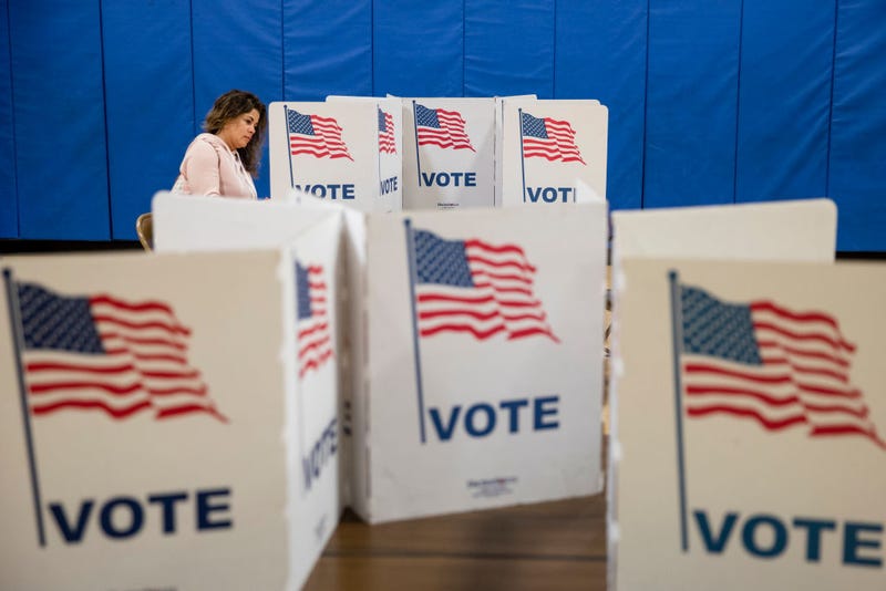 vote