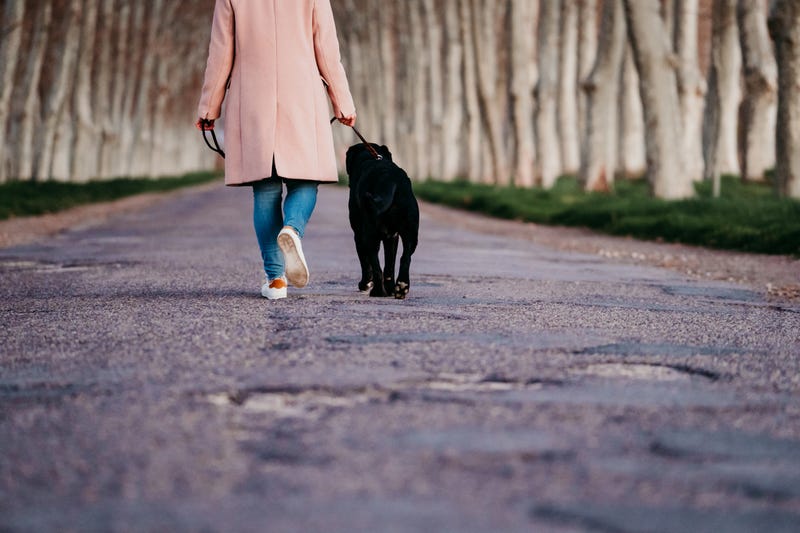 A 43-year-old woman and her dog were fatally struck by a suspected drunk driver while out on a walk in Northern Michigan on Thursday evening, troopers said.