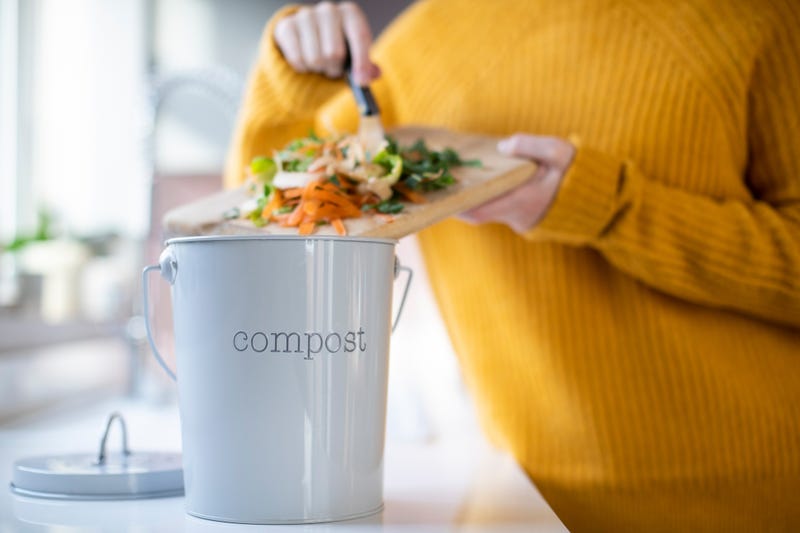 Compost, Ramsey County, Sheletta Brundidge