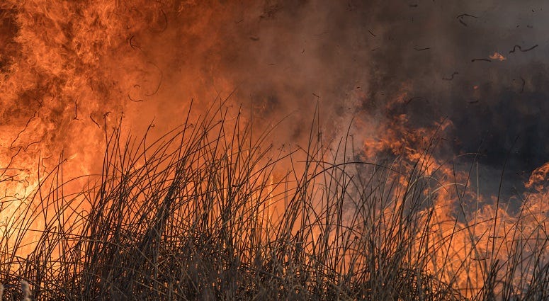 Sedgwick County under Fire Weather Watch