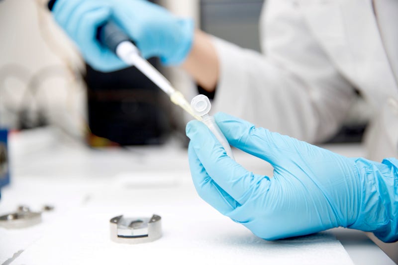 Researcher in a lab