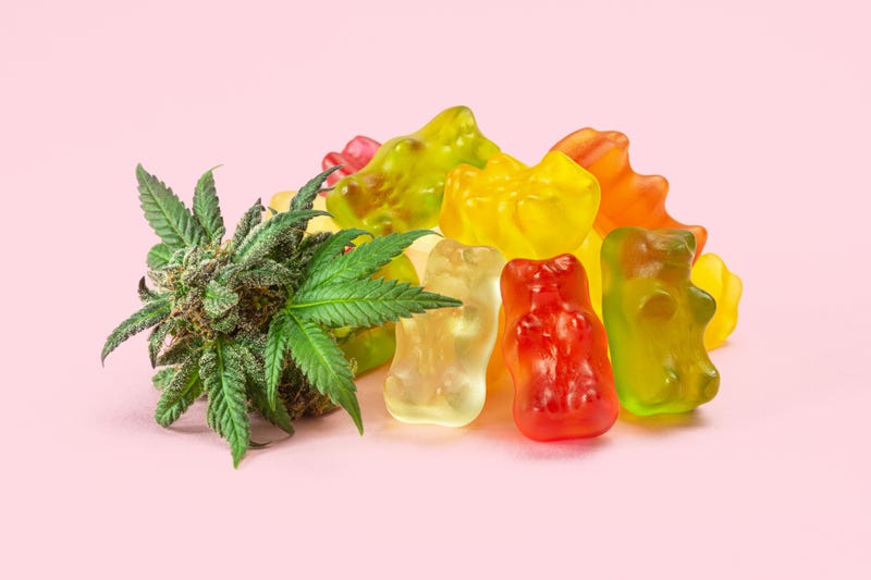 A pile of gummy bears made with cannabis extract next to a fresh bud or hemp flower. These medical marijuana edibles contain CBD and THC and are isolated on a pink background.
