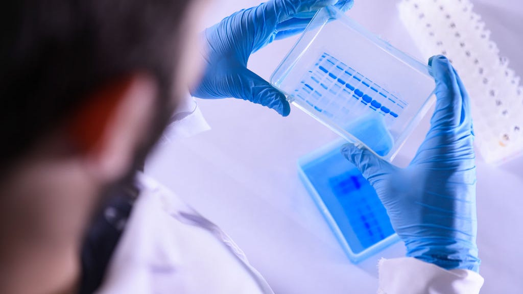 Scientist behind COVID-19 shot working on cancer vaccine that could be available in ‘a couple of years’