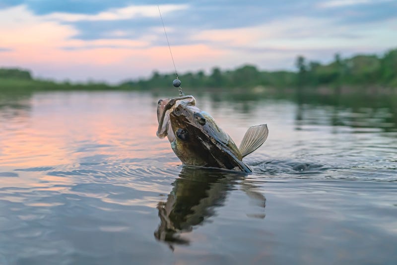 It's fishing opener weekend! The weather will be sunny and warm - maybe too warm?