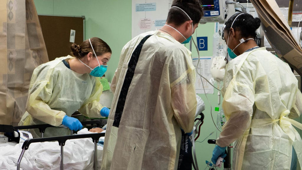 COVID-19 'plateauing' in US at 146K deaths per year, health expert says