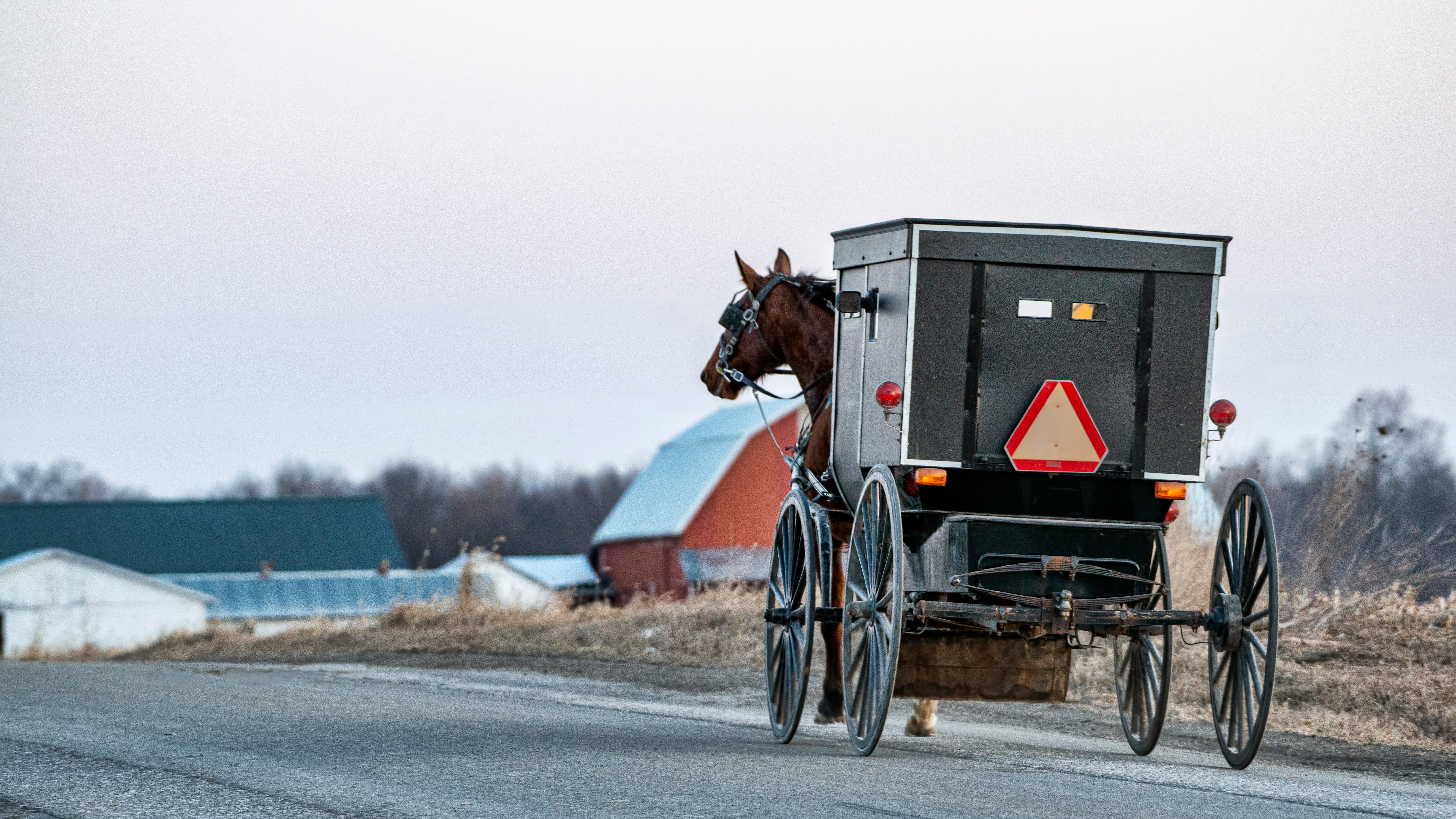 Three people injured, one horse dead after truck hits Amish buggy in western Michigan
