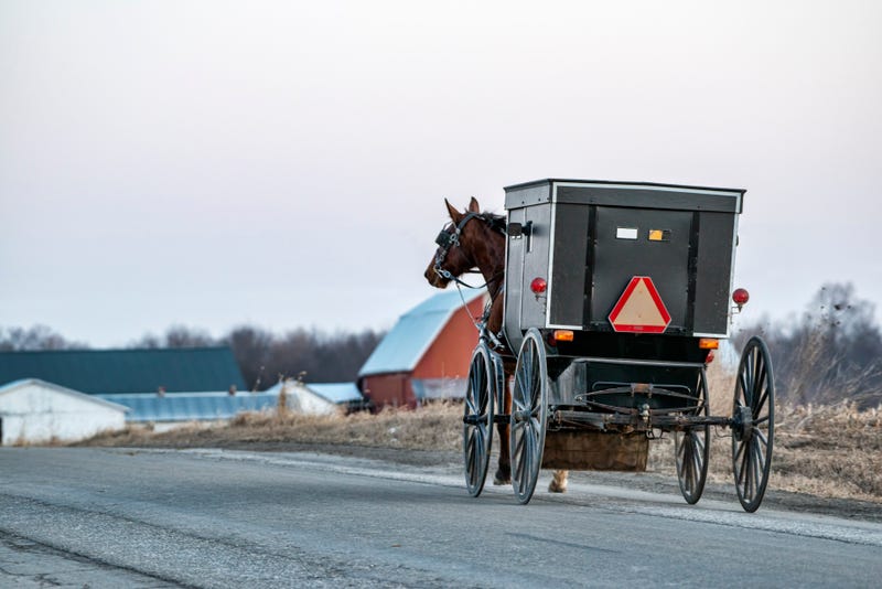 Troopers said three people are in the hospital after a pickup truck crossed over into an oncoming lane and crashed into a horse-drawn buggy in Montcalm County on Thursday morning.