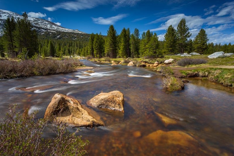 Dana Fork Tuolumne River, mountain river in the Sierra Nevada.