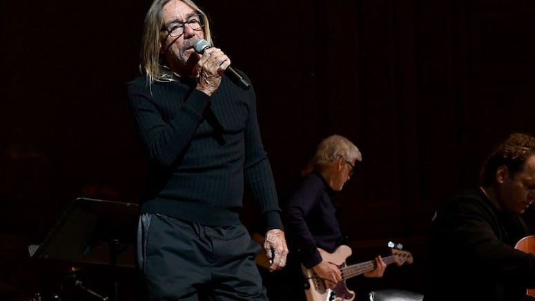 Iggy Pop Asks Senators to Protect Big Cats in Florida