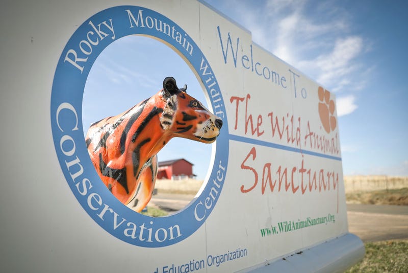 The Wild Animal Sanctuary