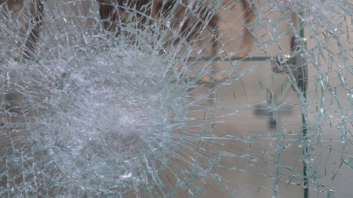 Suspect arrested after vandalism spree in Royal Oak leaves multiple businesses damaged