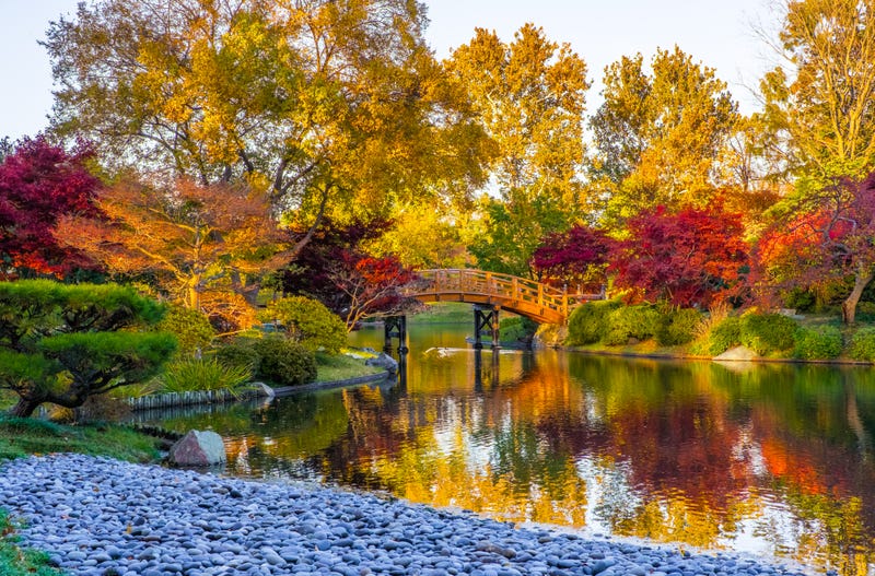Japanese garden in Missouri
