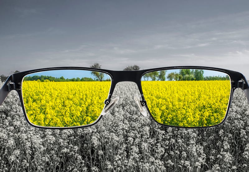 Looking through glasses to bleach nature landscape with blue sky and yellow field