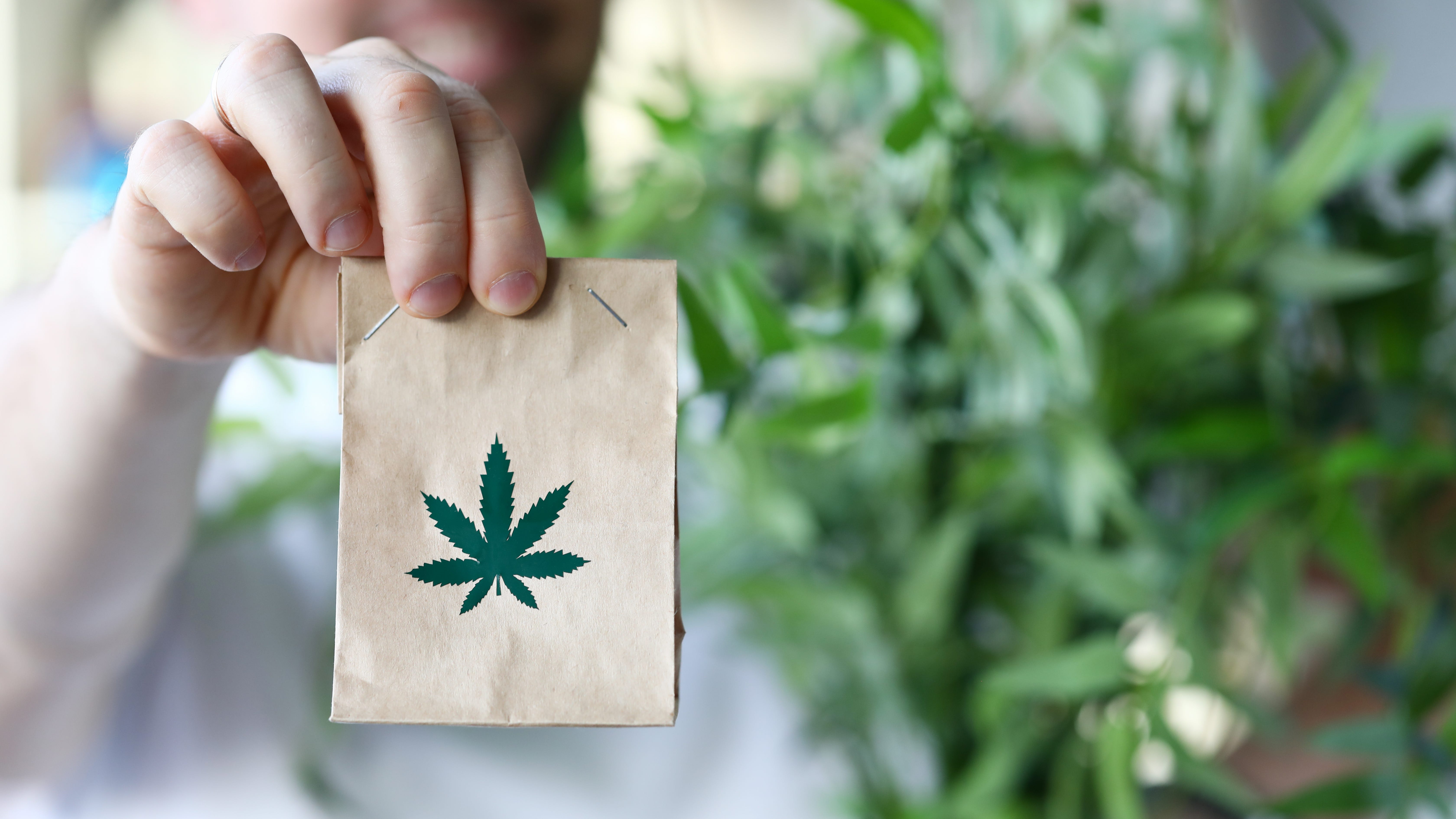 New recreational marijuana delivery service coming to Detroit