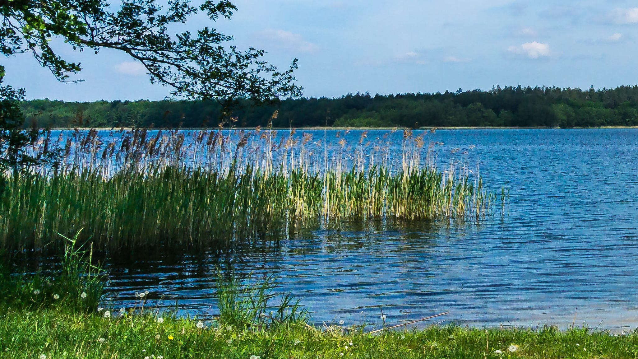 Bodies of man, teen recovered from NJ lake after drownings