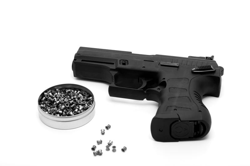 File Photo: Pellet gun